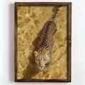 Tablou decorativ, NAL037-70, MDF, Lemn masiv, Multicolor
