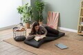 Fotoliu extensibil, Atelier del Sofa, 859FTN2362, Metal, Gri inchis