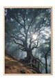 Tablou decorativ, 108289, Lemn masiv, Sticla PVC, Multicolor