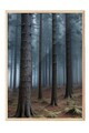 Tablou decorativ, 108290, Lemn masiv, Sticla PVC, Multicolor