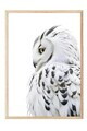Tablou decorativ, 108301, Lemn masiv, Sticla PVC, Multicolor