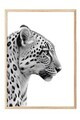 Tablou decorativ, 108305, Lemn masiv, Sticla PVC, Multicolor