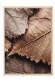 Tablou decorativ, 108315, Lemn masiv, Sticla PVC, Multicolor