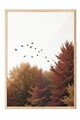 Tablou decorativ, 108317, Lemn masiv, Sticla PVC, Multicolor
