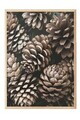 Tablou decorativ, 108341, Lemn masiv, Sticla PVC, Multicolor