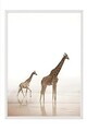 Tablou decorativ, 108345, Lemn masiv, Sticla PVC, Multicolor