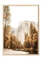 Tablou decorativ, 108346, Lemn masiv, Sticla PVC, Multicolor