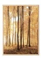 Tablou decorativ, 108347, Lemn masiv, Sticla PVC, Multicolor