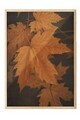 Tablou decorativ, 108350, Lemn masiv, Sticla PVC, Multicolor