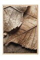 Tablou decorativ, 108352, Lemn masiv, Sticla PVC, Multicolor
