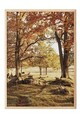 Tablou decorativ, 108354, Lemn masiv, Sticla PVC, Multicolor