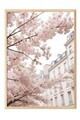 Tablou decorativ, 108367, Lemn masiv, Sticla PVC, Multicolor
