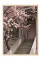 Tablou decorativ, 108368, Lemn masiv, Sticla PVC, Multicolor