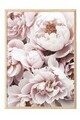 Tablou decorativ, 108369, Lemn masiv, Sticla PVC, Multicolor
