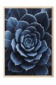 Tablou decorativ, 108372, Lemn masiv, Sticla PVC, Multicolor