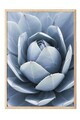 Tablou decorativ, 108376, Lemn masiv, Sticla PVC, Multicolor