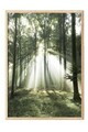 Tablou decorativ, 108399, Lemn masiv, Sticla PVC, Multicolor