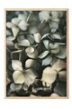 Tablou decorativ, 108400, Lemn masiv, Sticla PVC, Multicolor