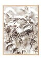 Tablou decorativ, 108411, Lemn masiv, Sticla PVC, Multicolor