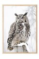 Tablou decorativ, 108413, Lemn masiv, Sticla PVC, Multicolor