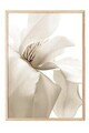 Tablou decorativ, 108414, Lemn masiv, Sticla PVC, Multicolor