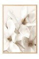 Tablou decorativ, 108416, Lemn masiv, Sticla PVC, Multicolor