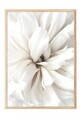 Tablou decorativ, 108417, Lemn masiv, Sticla PVC, Multicolor