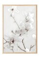 Tablou decorativ, 108418, Lemn masiv, Sticla PVC, Multicolor
