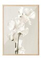 Tablou decorativ, 108434, Lemn masiv, Sticla PVC, Multicolor
