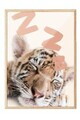 Tablou decorativ, 108441, Lemn masiv, Sticla PVC, Multicolor
