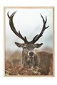 Tablou decorativ, 108443, Lemn masiv, Sticla PVC, Multicolor