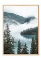 Tablou decorativ, 108445, Lemn masiv, Sticla PVC, Multicolor
