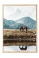 Tablou decorativ, 108446, Lemn masiv, Sticla PVC, Multicolor