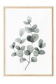 Tablou decorativ, 108454, Lemn masiv, Sticla PVC, Multicolor