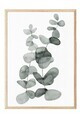 Tablou decorativ, 108455, Lemn masiv, Sticla PVC, Multicolor