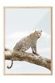 Tablou decorativ, 108465, Lemn masiv, Sticla PVC, Multicolor