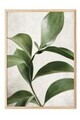Tablou decorativ, 108467, Lemn masiv, Sticla PVC, Multicolor