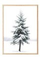 Tablou decorativ, 108474, Lemn masiv, Sticla PVC, Multicolor