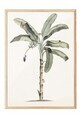 Tablou decorativ, 108501, Lemn masiv, Sticla PVC, Multicolor
