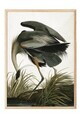 Tablou decorativ, 108502, Lemn masiv, Sticla PVC, Multicolor