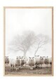 Tablou decorativ, 108505, Lemn masiv, Sticla PVC, Multicolor