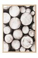 Tablou decorativ, 108507, Lemn masiv, Sticla PVC, Multicolor