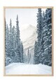 Tablou decorativ, 108511, Lemn masiv, Sticla PVC, Multicolor