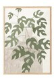 Tablou decorativ, 108547, Lemn masiv, Sticla PVC, Multicolor