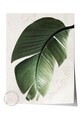 Tablou decorativ, 108550, Lemn masiv, Sticla PVC, Multicolor