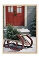 Tablou decorativ, 108620, Lemn masiv, Sticla PVC, Multicolor