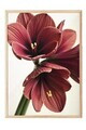 Tablou decorativ, 108644, Lemn masiv, Sticla PVC, Multicolor