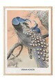 Tablou decorativ, 108713, Lemn masiv, Sticla PVC, Multicolor