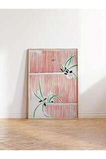 50x70 cm, Multicolor