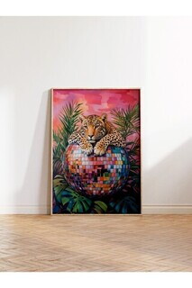 50x70 cm, Multicolor